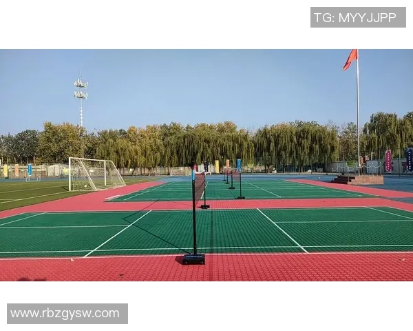 北京排球队整体压制现象分析及其对排球发展的影响探讨