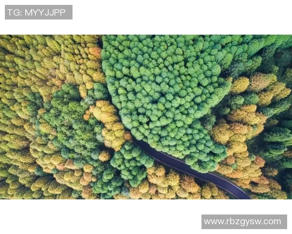 李军的极限运动人生：在挑战中寻找自我与自由的深度对话